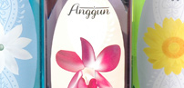 Anggun